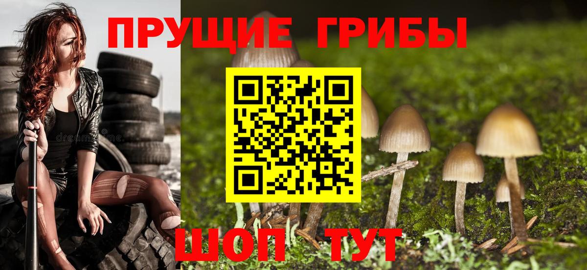 Подольск  Галлюциногенные грибы ЛСД  Галлюциногенные грибы Cubensis  Вход с VPN 